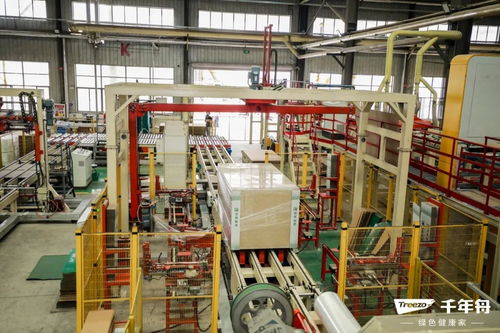 綠色工廠(chǎng)行丨百人考察團(tuán)走進(jìn)千年舟日照智能工廠(chǎng),看 一張好板 引領(lǐng)綠色智造